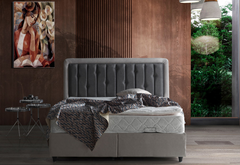 HAZAL BAZA+BAŞLIK 160*200